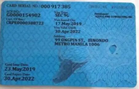 在菲律宾上班给办9G工作签证吗