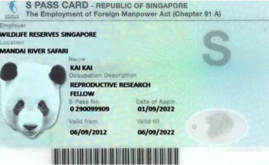 新加坡工作签证EP、SP、WP申请全攻略