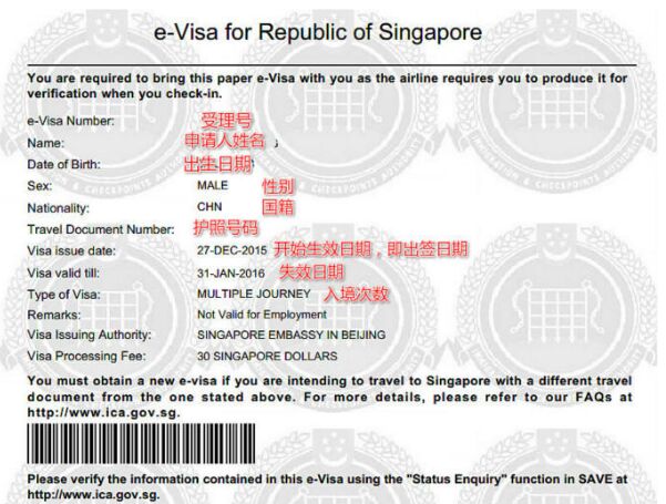 singapore visit visa extension rejected